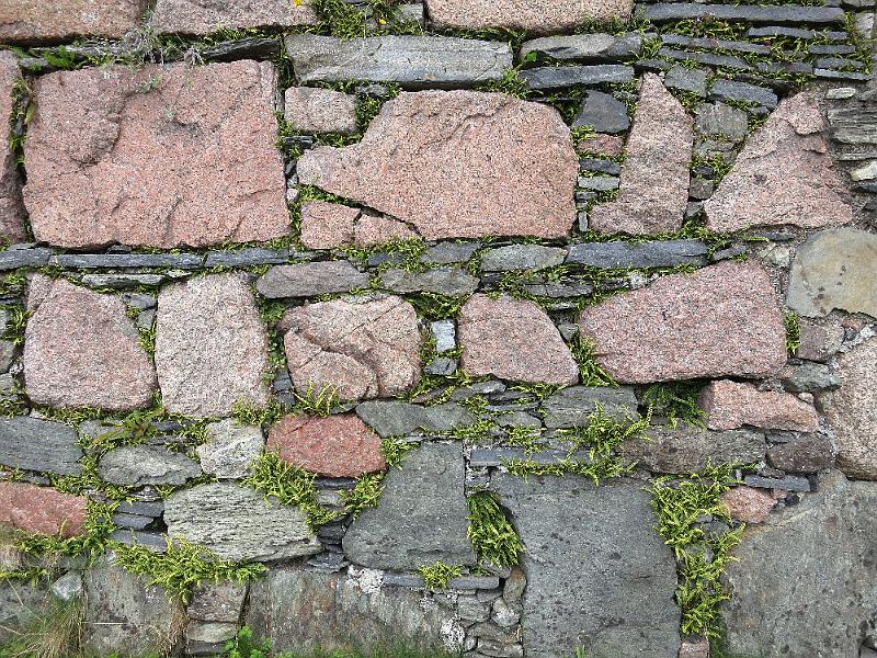 S (356).JPG